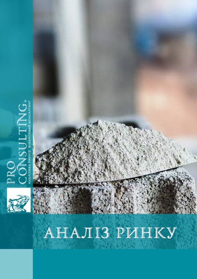 Аналіз ринку сухих будівельних сумішей в Україні. 2023 рік